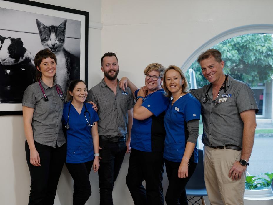 Veterinary profession mental health Australian Veterinary Association